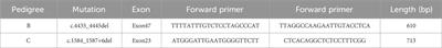 Analyzing three pedigrees in X-linked Alport syndrome with the presentation of nephrotic syndrome